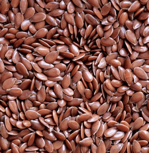Graines de lin brun - زريعة الكتان