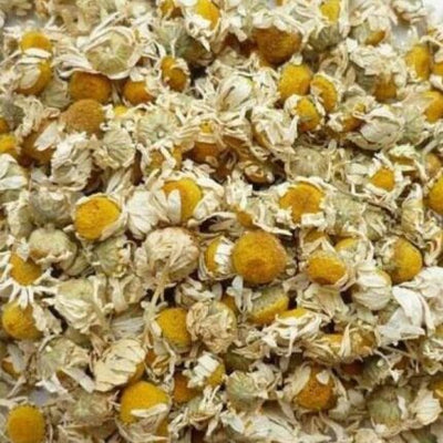 زهرة البابونج